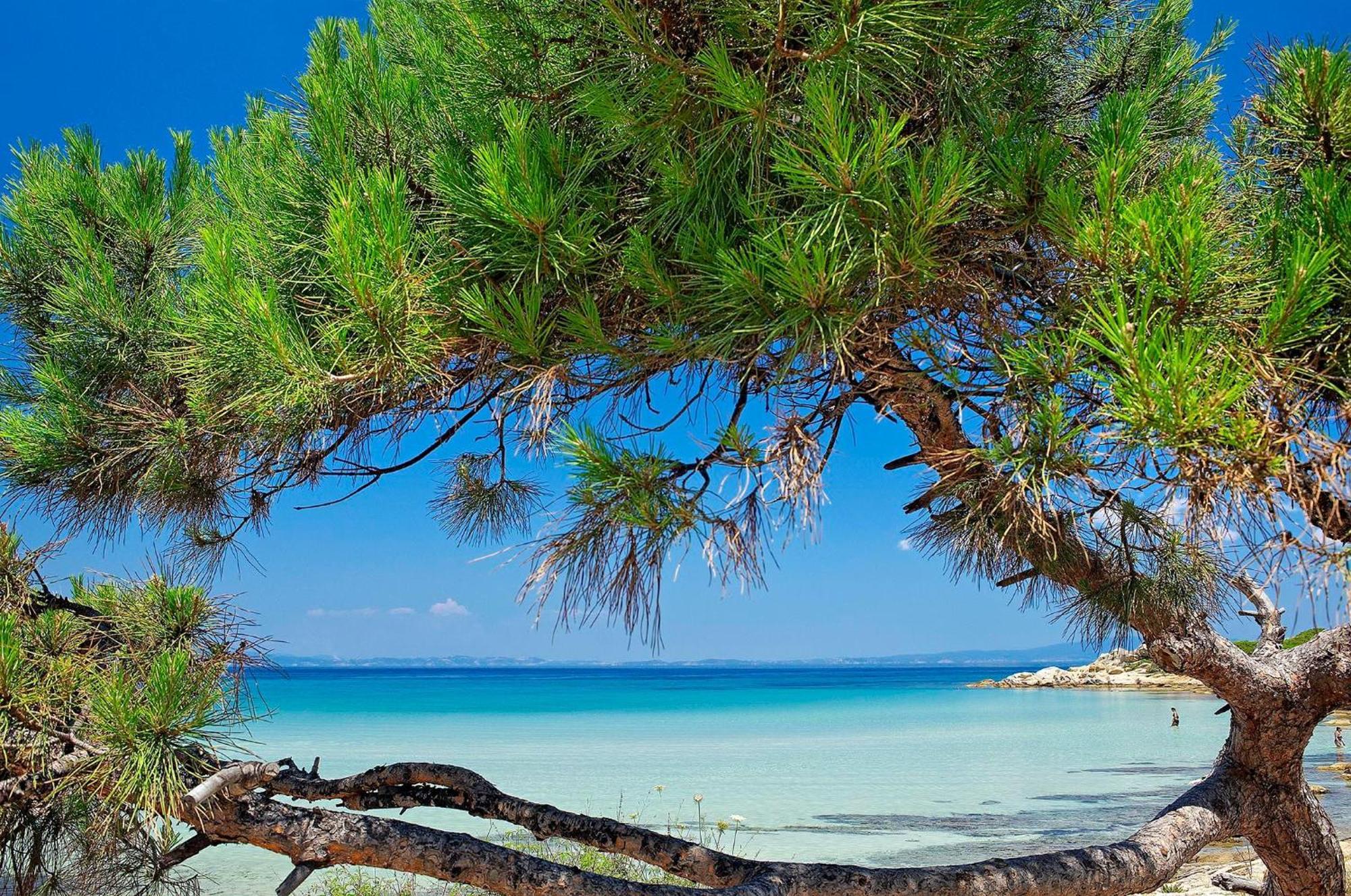 Ikos Olivia Hotel Геракини Екстериор снимка